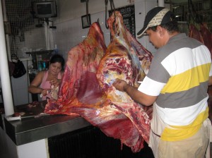 young girl apprenticing her father