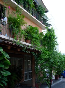 Flowers of Zihuatanejo