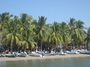 View of Zihuatanejo from the water taxi