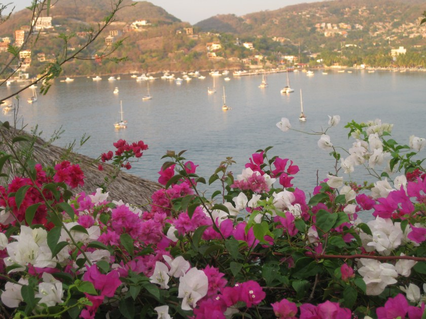 One of my favorite views of the bay