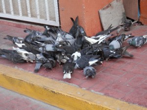 Everybody needs to eat