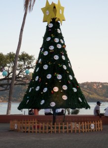 Christmas tree in the Zocolo
