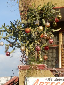 Cactus Christmas tree