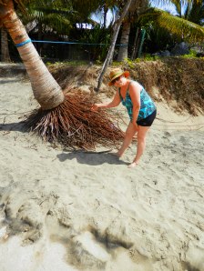 Sylvia trying to decide what cleaver things could be done with the roots 