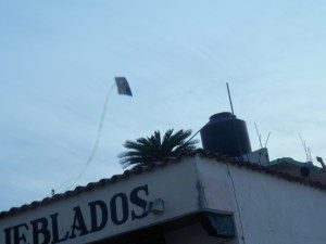 Kite over the Monarca Hotel