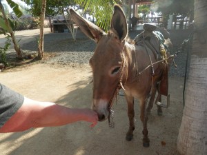 The welcoming committee