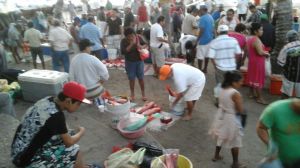 Very busy  morning for the  fishermen