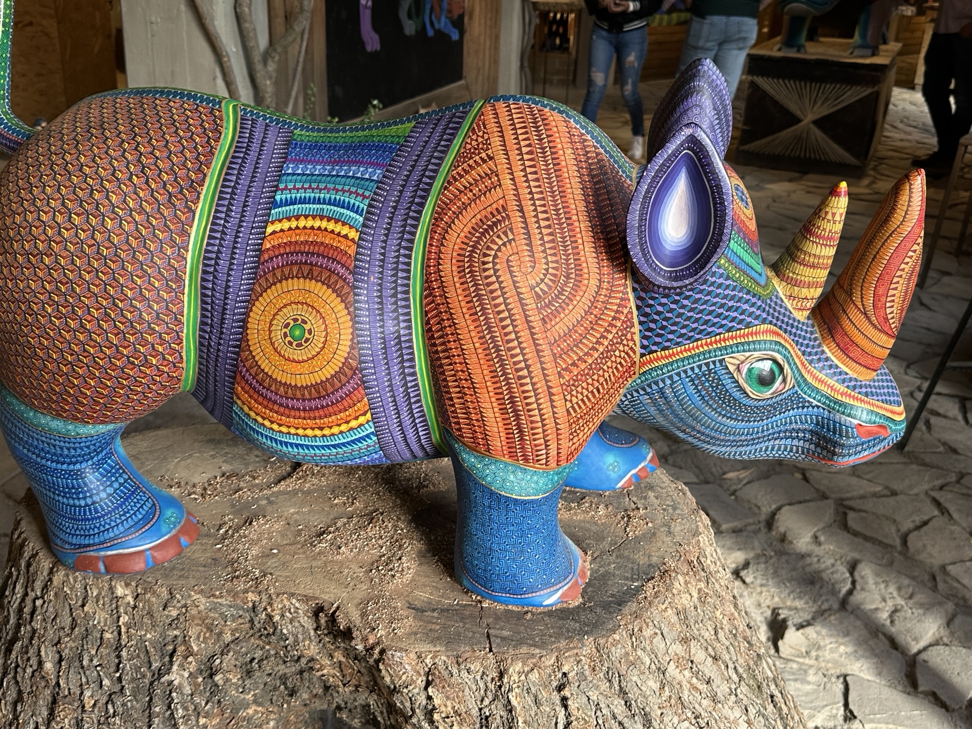Zipakna shoes – Zihuatanejo